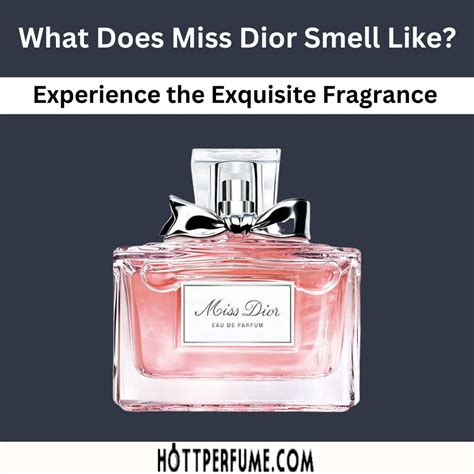 miss dior dior parfum|what does Miss Dior perfume smell like.